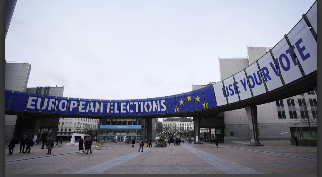 Avrupa Parlamentosu (AP) seçimlerinde
