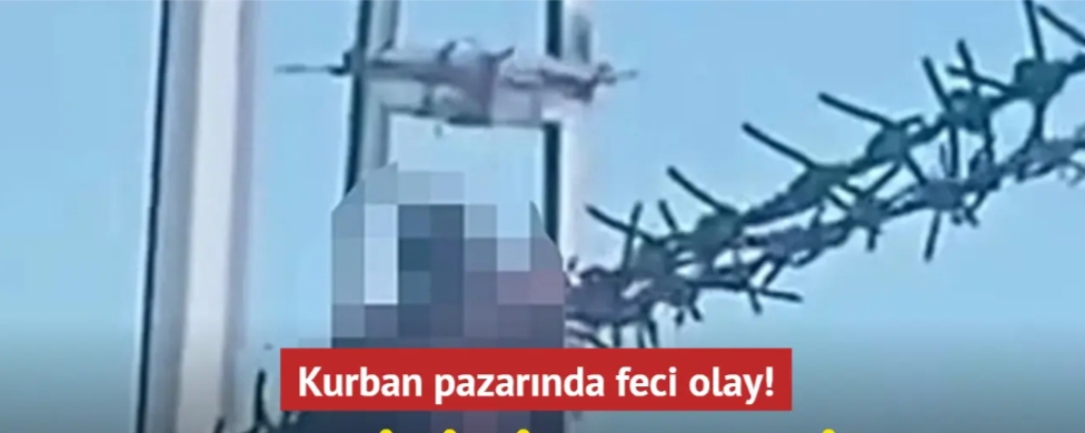 Kayseri'deki bir kurban pazarında