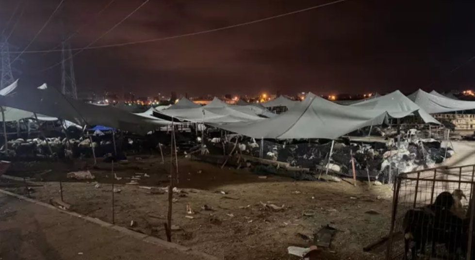 Mersin’de otomobil hayvan pazarına daldı! Çok sayıda yaralı var…