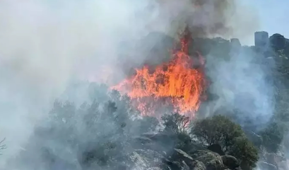 Çanakkale’de korkutan yangın!