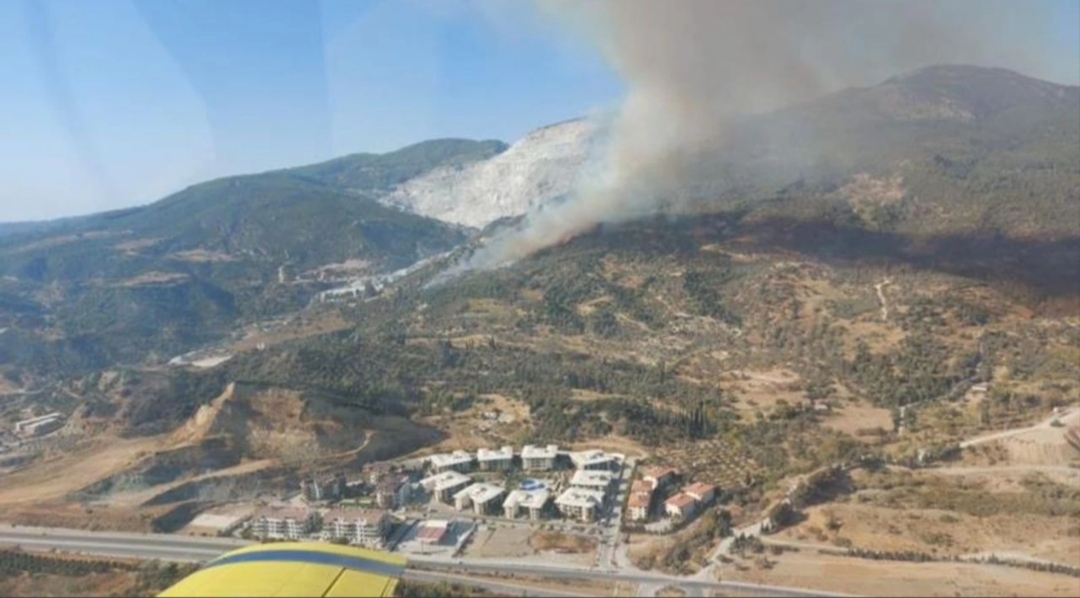 Çanakkale'nin Ezine, Aydın'ın Kuşadası