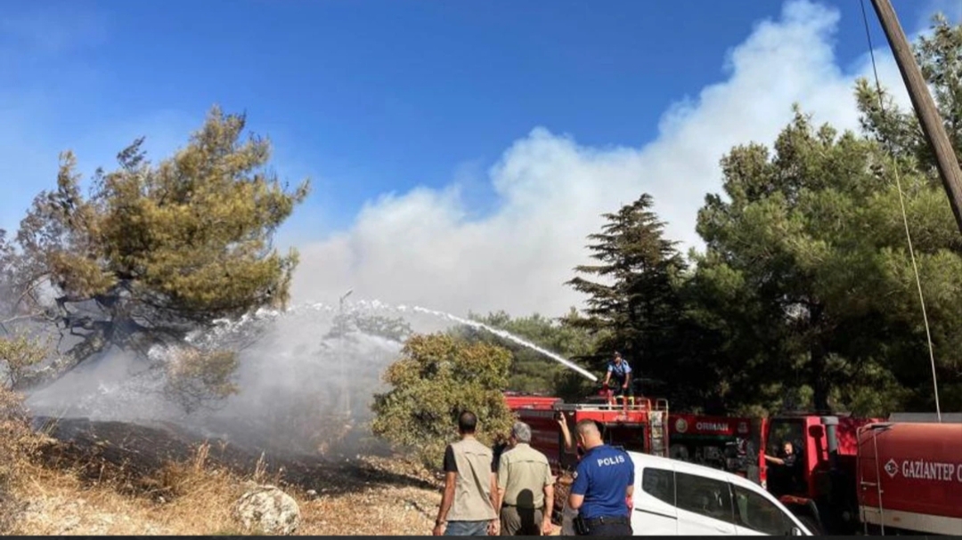 Gaziantep’te orman yangını! Yangına müdahale devam ediyor