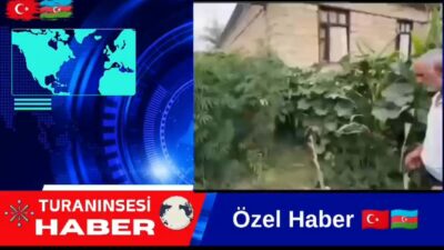 Azerbaycan’da Kenevir Şebekesi Çökertildi