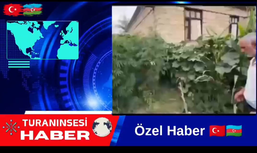 Azerbaycan’da Kenevir Şebekesi Çökertildi