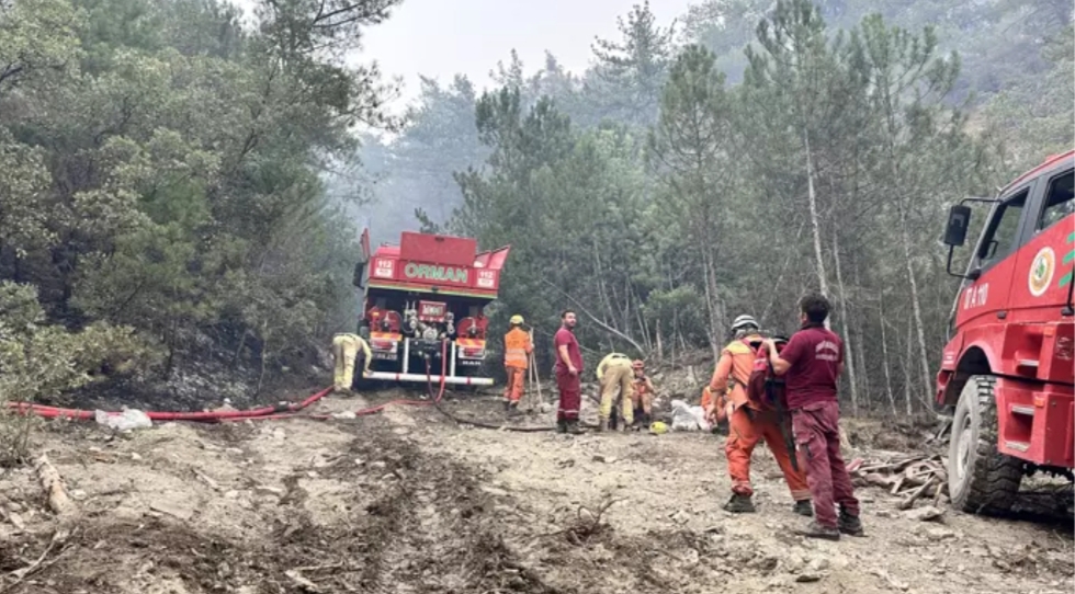 Ormanı korumak vatanı savunmak dediler