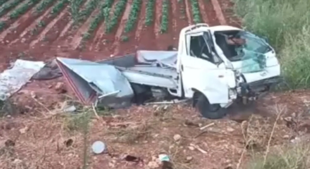 Gaziantep'in Oğuzeli ilçesinde tarım