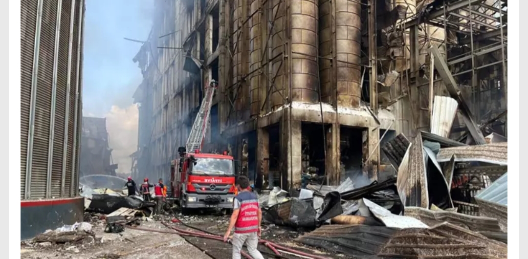 Sakarya'nın Hendek ilçesindeki bir