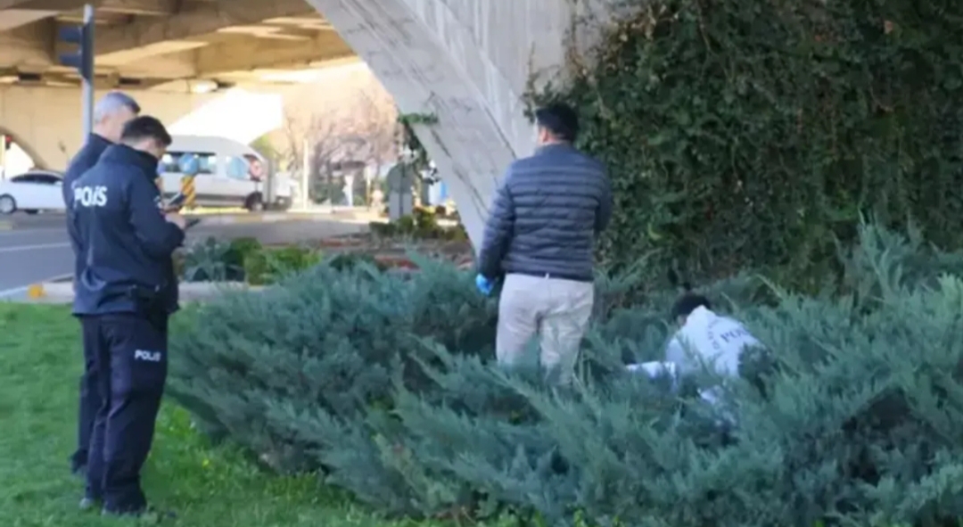 Antalya'nın Muratpaşa ilçesinde, üst geçit altında otlar arasında bir ceset